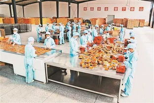 重慶日報鄉(xiāng)村振興周刊 重慶農產品加工業(yè)如何走上 快車道