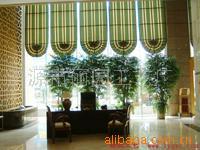 【重慶榕樹盆景】價格、產品供應,重慶榕樹盆景廠家批發列表2-1024商務網